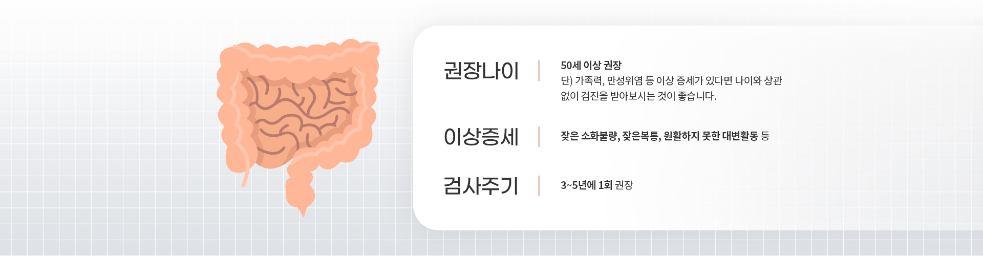 대장내시경/용종절제술 내용