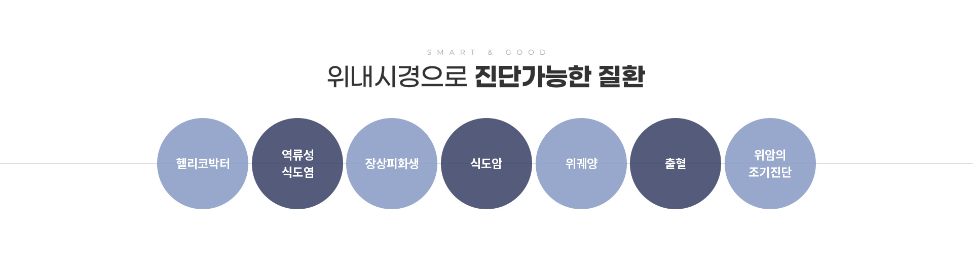 위내시경 진단가능한질환